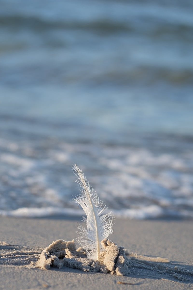 Seaside Serenity