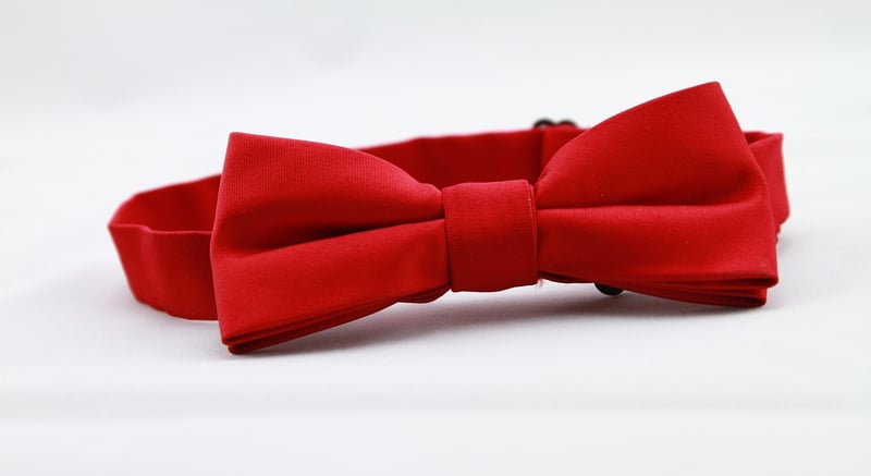 Statement Accessories